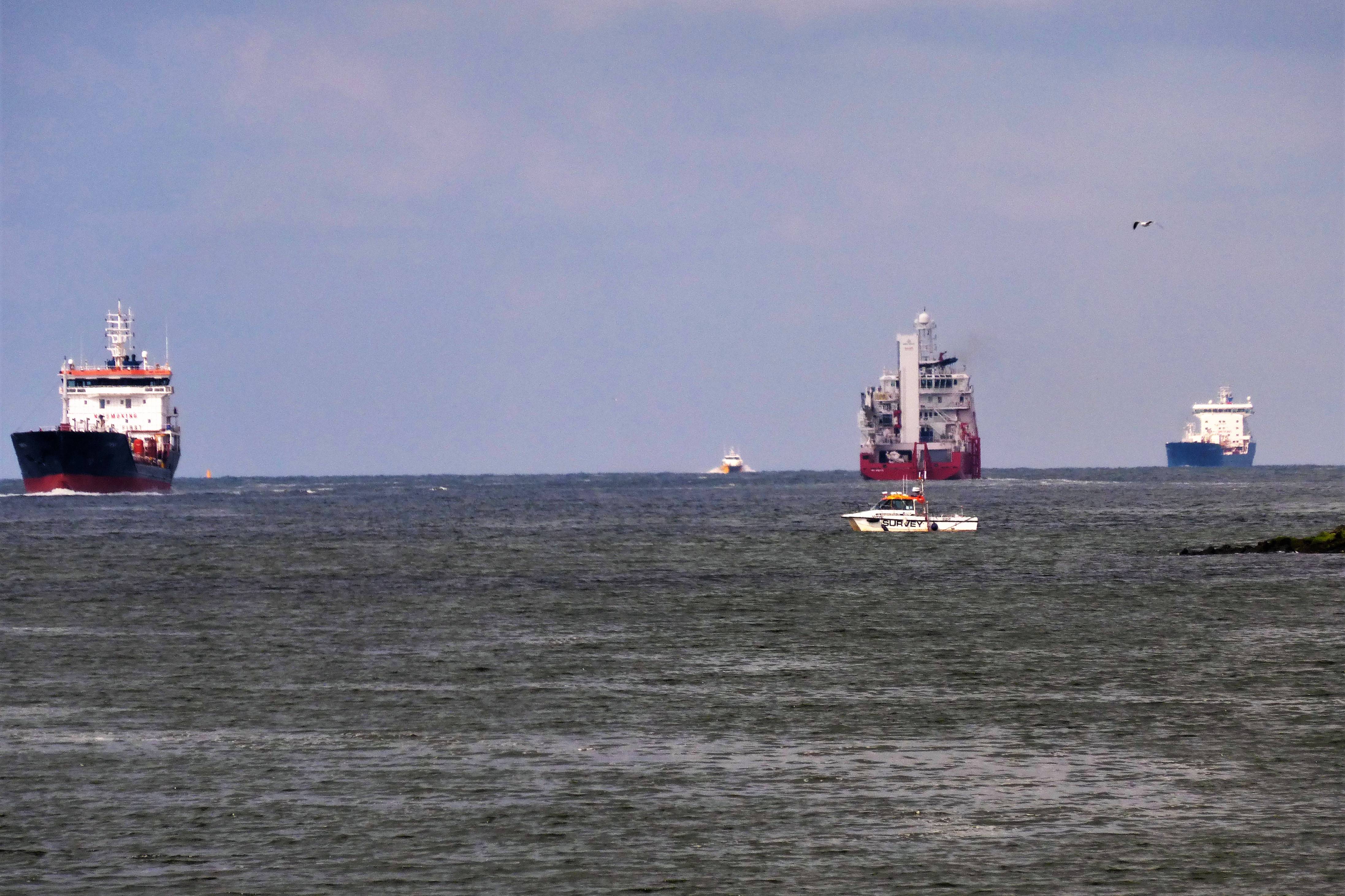 Pieren IJmuiden   01-05-21 